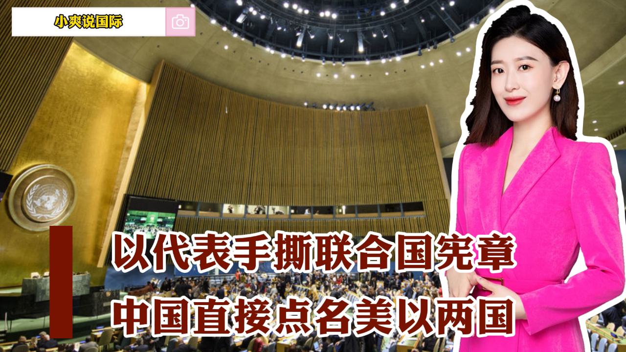 以代表手撕联合国宪章,历史时刻再次上演