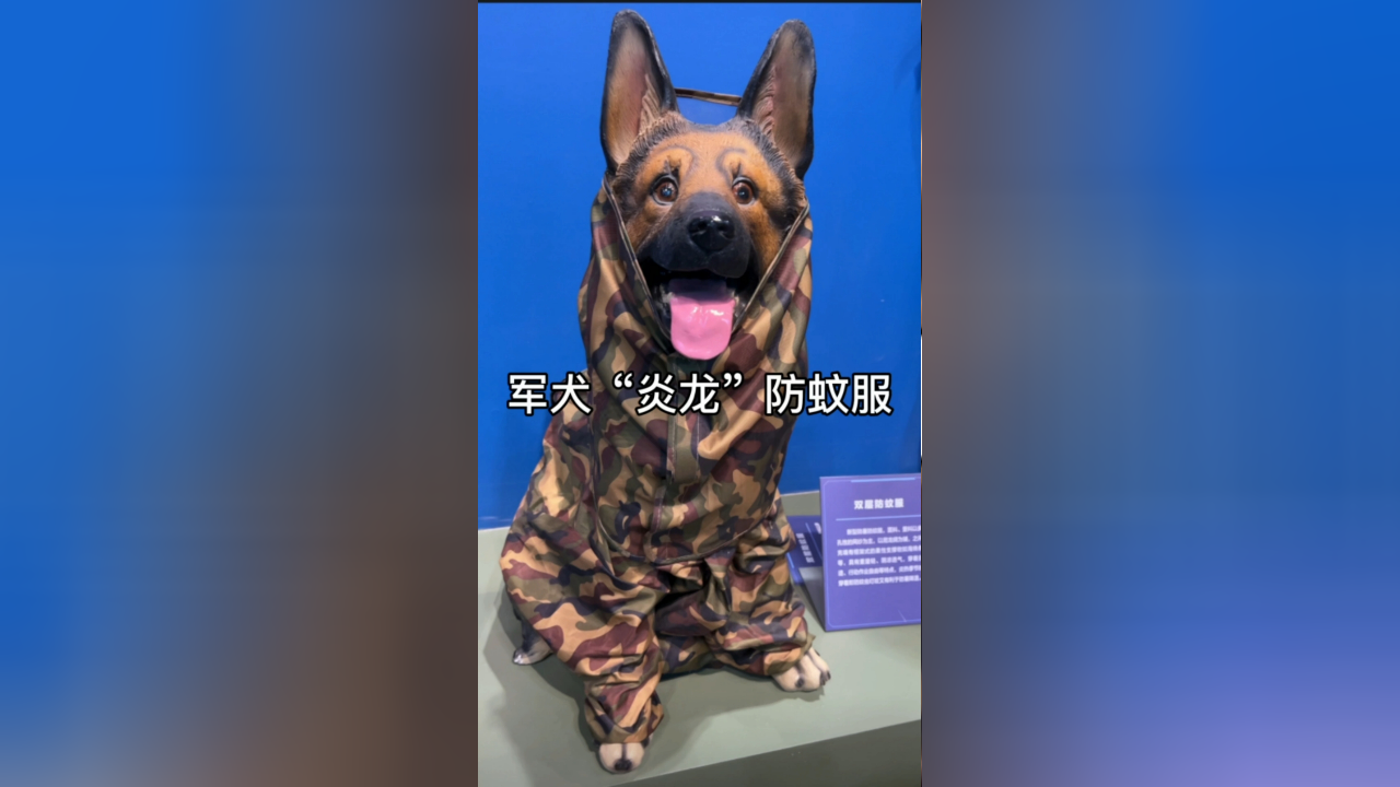 军犬"炎龙"防蚊服