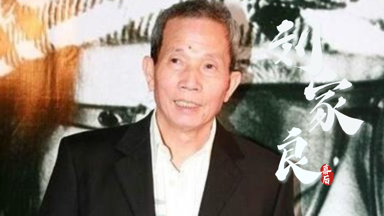 称成龙是花架子,李连杰让人笑掉大牙,刘家良到底有多厉害