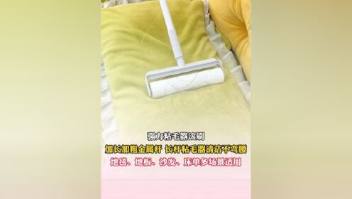 家里养宠物和爱掉头发的,推荐这个长柄粘毛器,不管是粘头发还是灰尘都