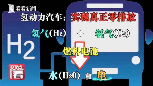 30秒看进博丨汽车不排放尾气排放纯净水?