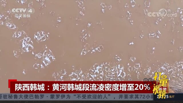 陕西韩城:黄河韩城段流凌密度增至20%