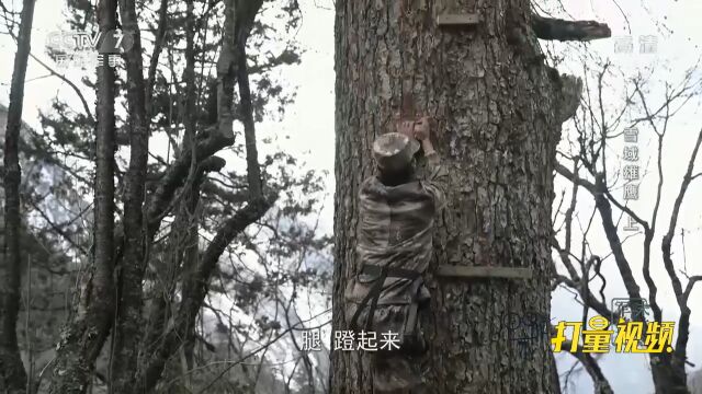 老兵手把手教学攀岩技巧,战士们跃跃欲试