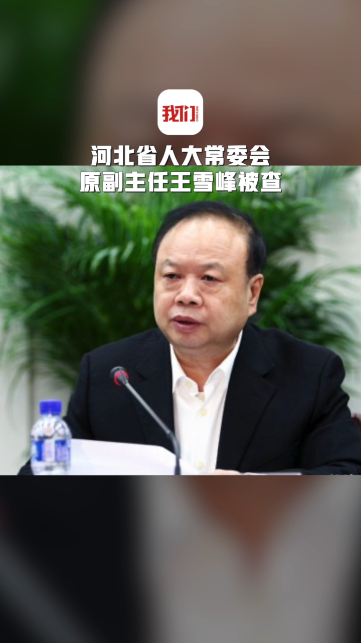 河北省人大常委会原副主任王雪峰被查 曾任唐山市委书记