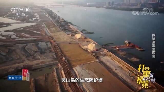 灵山岛的生态防护堤开始施工建设,新的问题接踵而至