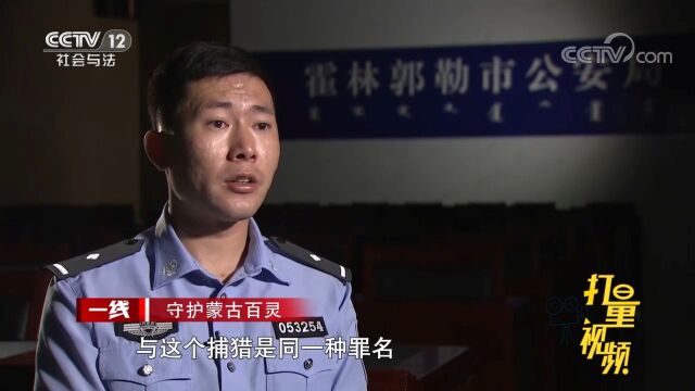 三名嫌疑人联手,连续3年猎捕贩卖百灵鸟达200余只