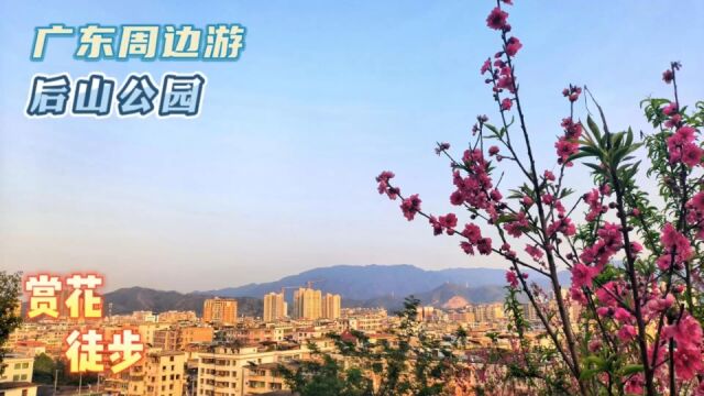 周末韶关粤北乡村游,去爬山徒步踏青赏桃花,人少免费空气好