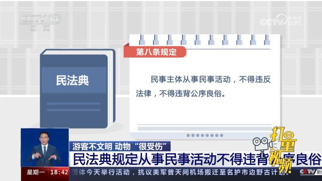 若游客对动物造成伤害,该承担何种法律责任?专家解读