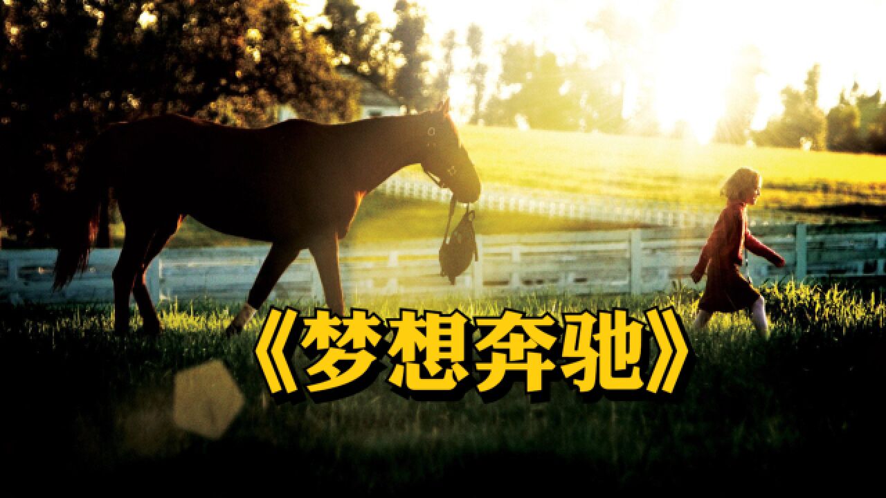 豆瓣8.0分,梦想不会背弃主人,只有主人才会背离梦想《梦想奔驰》