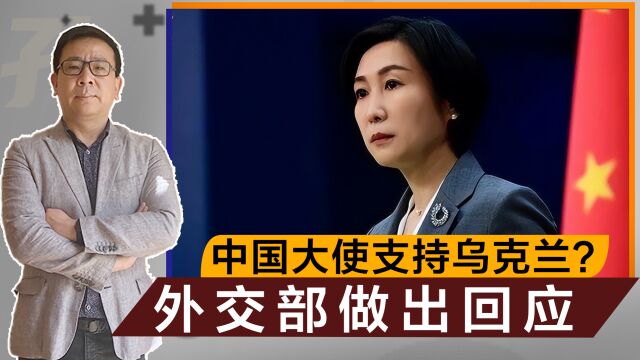 中国大使支持乌克兰,要俄罗斯交还控制地区?外交部做出回应