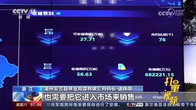 浙江安吉:一杆竹子的“向上生长”!百万亩毛竹林的“智慧管家”