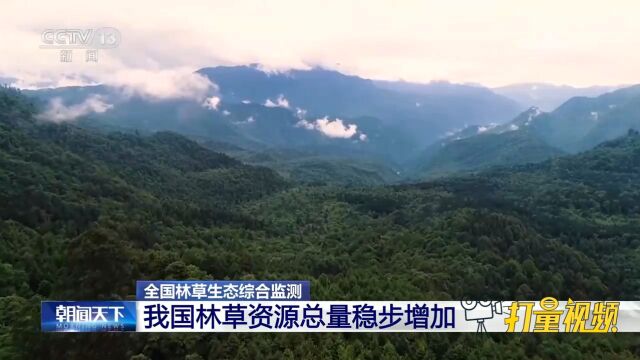 全国林草生态综合监测:我国林草资源总量稳步增加