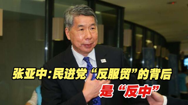 张亚中:民进党当局“反服贸”背后的根本原因是“反中”