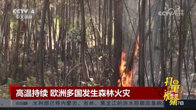 全球多地遭遇极端高温天气,欧洲多国发生森林火灾造成人员伤亡