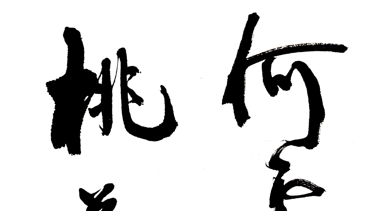 每日书法:名诗名句"人面不知何处去,桃花依旧笑春风"