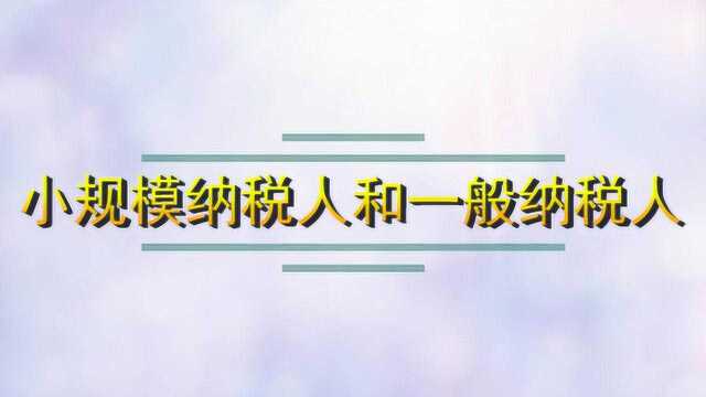 小规模纳税人和一般纳税人的区别在哪儿