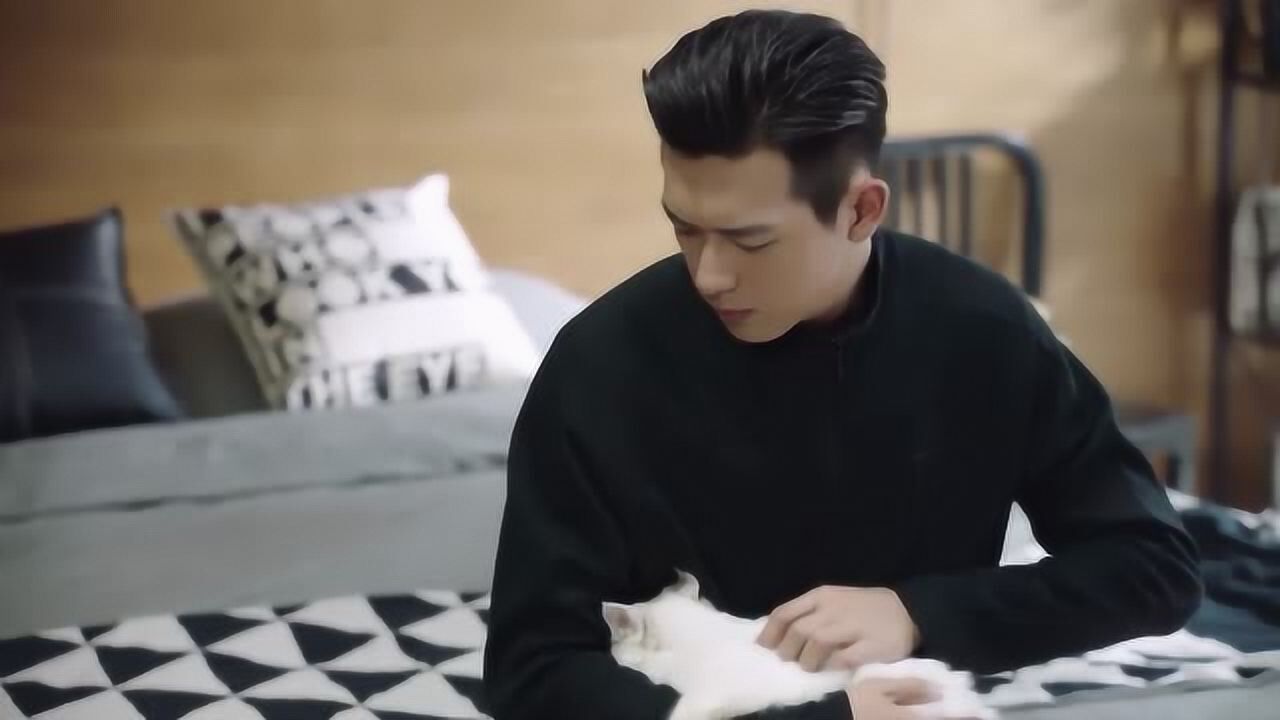 重温亲爱的热爱的韩商言看到媳妇送的小猫真是太可爱了