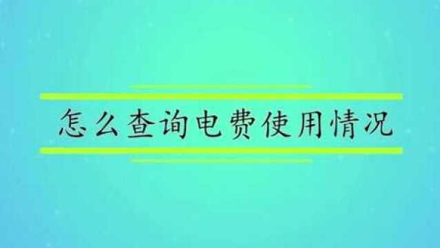 怎么查询电费使用情况