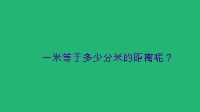 一米等于多少分米的距离呢?