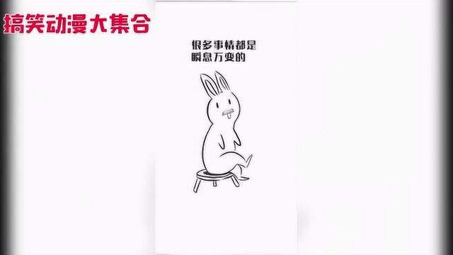 巴比兔:久违的兔爸爸给你熬鸡汤系列