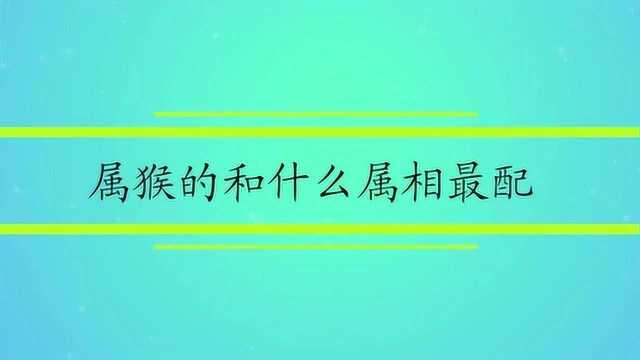 属猴的和什么属相最配