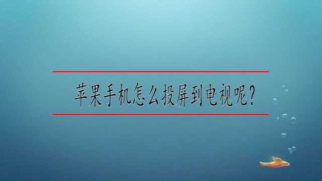 苹果手机怎么投屏到电视呢?