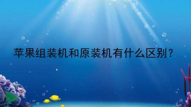 苹果组装机和原装机有什么区别?