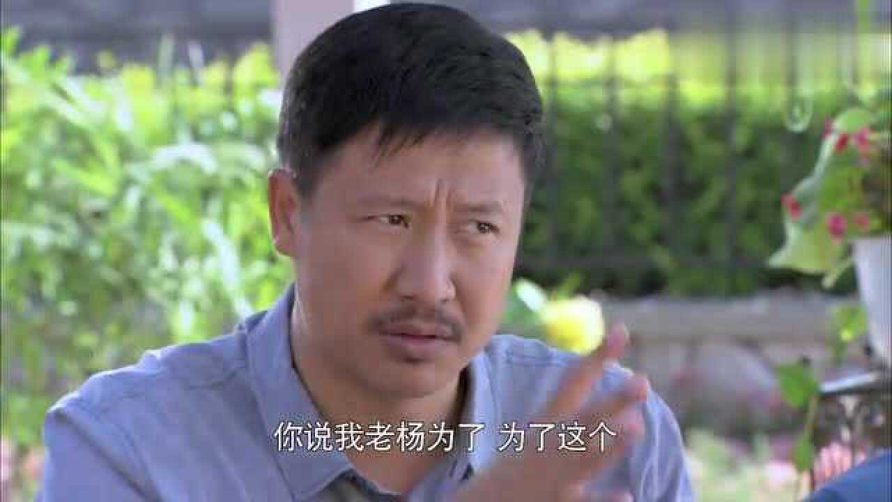 麻辣芳邻白壮赶到老院解决两人的麻烦竟提议投硬币决定