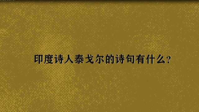 印度诗人泰戈尔的诗句有什么?