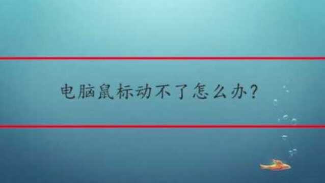 电脑鼠标动不了怎么办?