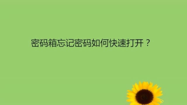 密码箱忘记密码如何快速打开?