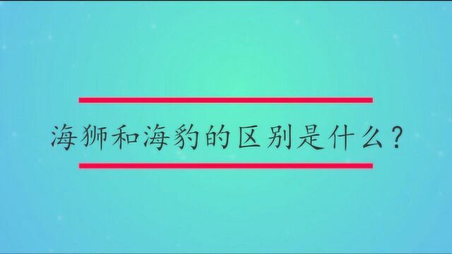 海狮和海豹的区别是什么?