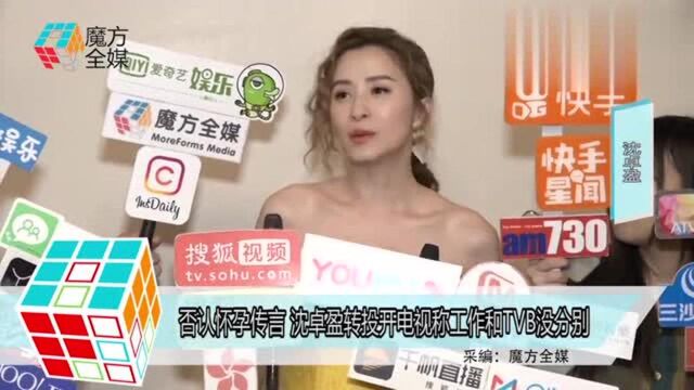 否认怀孕传言 沈卓盈转投开电视称工作和无线没分别