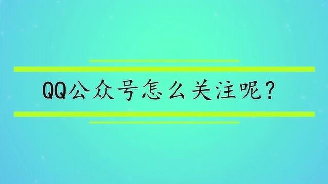 QQ公众号怎么关注呢?