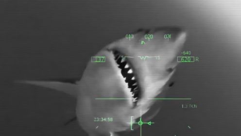 海洋环境污染导致鲨鱼变异，过往船只都被它吃掉，飞机也想咬一口