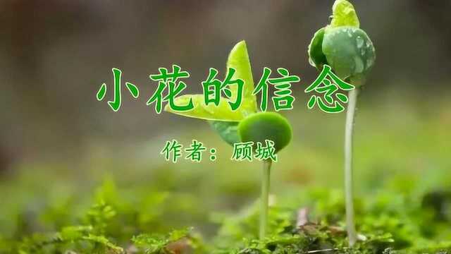 《小花的信念》顾城 一个向前奋斗的人整个世界都会为之让路