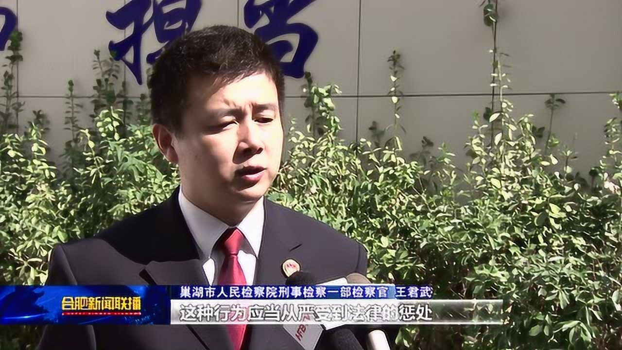 横行十年终"团灭"  巢湖市捣毁一黑社会性质组织