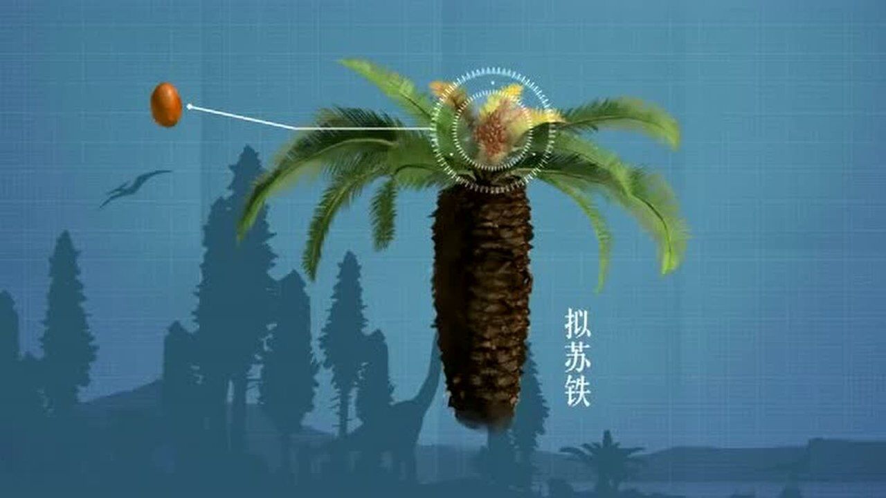 植物进化历程_高清1