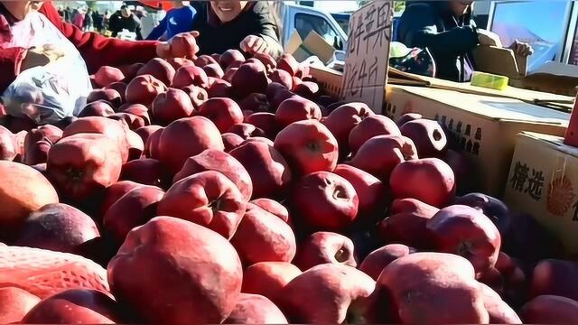 这里花牛红苹果卖得火爆,你看真便宜吗?