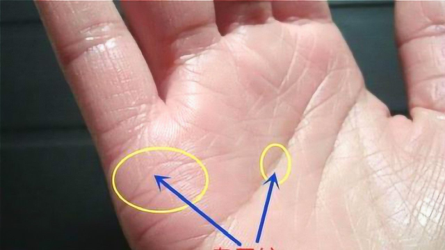 女人婚姻线向下弯曲代表什么,婚姻线往下弯手有几种?