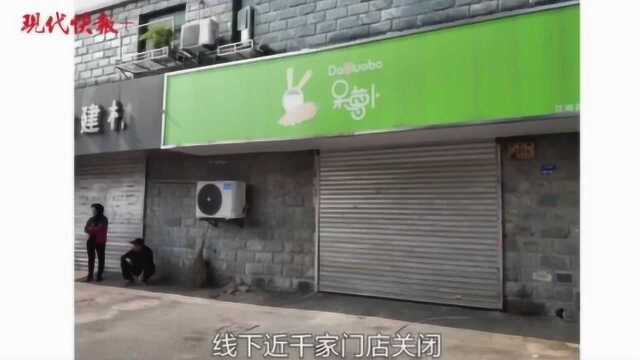 真“呆”了!南京多家呆萝卜门店停业,用户余额退款无门