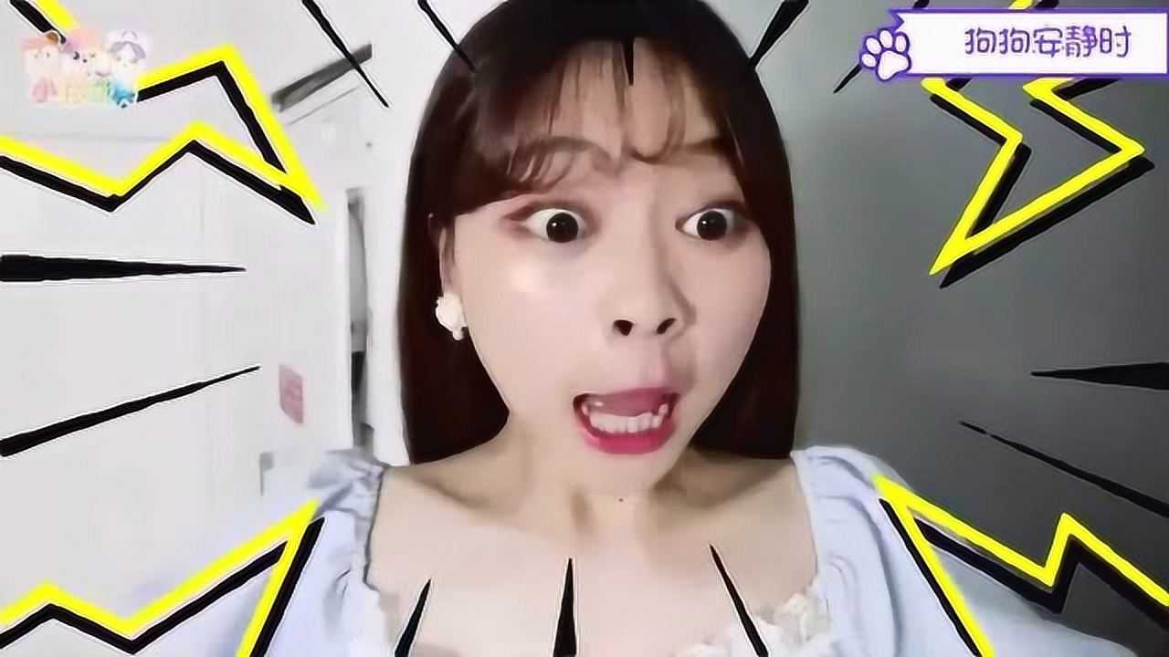 小伶玩具 :可爱小狗狗