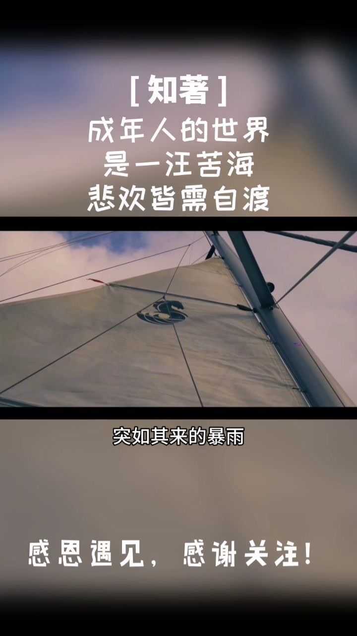 成年人的世界是一汪苦海悲欢皆需自渡