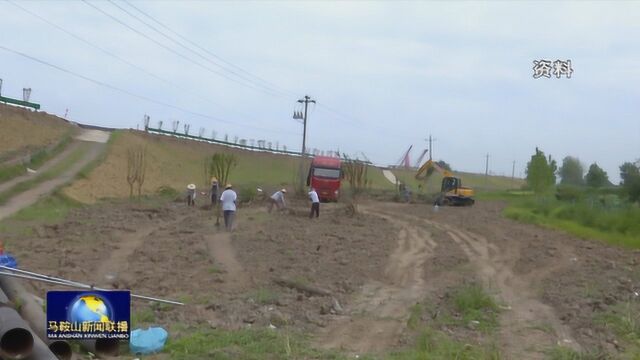 他用汗水和坚守换来滨江的绿 ——记马鞍山市雨山区滨江留守组负责人丁传宝