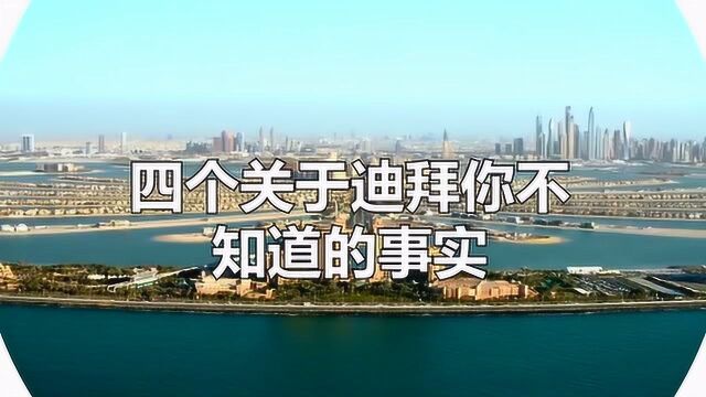 开眼了!关于迪拜令人难以置信的4个事实