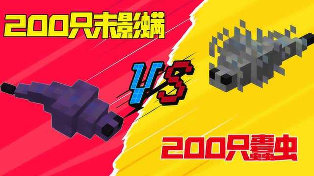 我的世界:200只末影螨vs200只蠹虫,谁才是虫中之王呢?