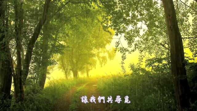 邓丽君演唱《微风细雨》,浅吟低唱,沉醉在微风细雨里