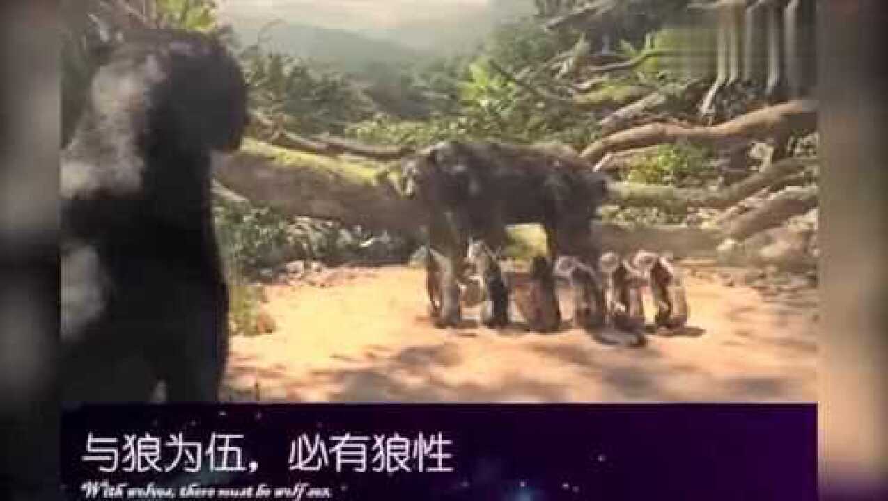 15秒正能量视频，感动上亿人的短片_高清