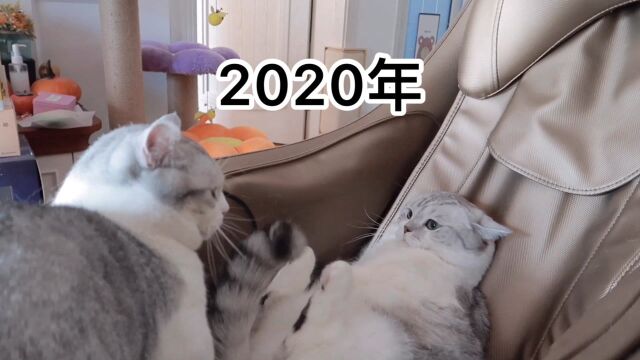 你们的2020年愿望是什么???