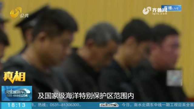 青岛:犯罪团伙非法盗窃海沙被抓获 庭审现场八名被告人当庭悔罪